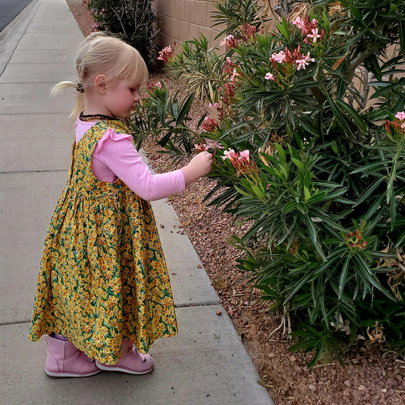 Meet your Posher, Posh - Picture 1 of 1